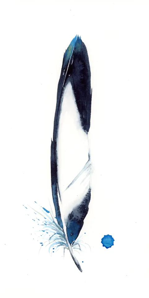 Image of a feather watercolor painting by Shayna Larsen, originals & prints available