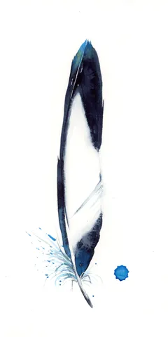 Image of a feather watercolor painting by Shayna Larsen, originals & prints available