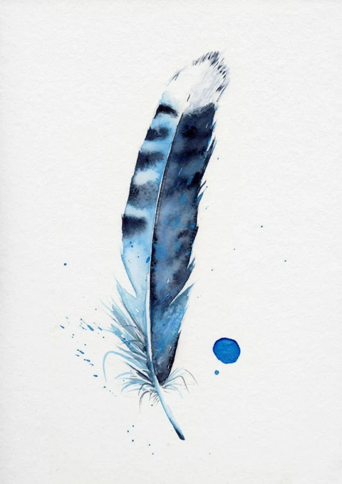 Image of a feather watercolor painting by Shayna Larsen, originals & prints available