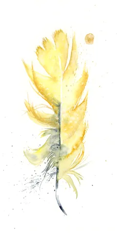 Image of a feather watercolor painting by Shayna Larsen, originals & prints available