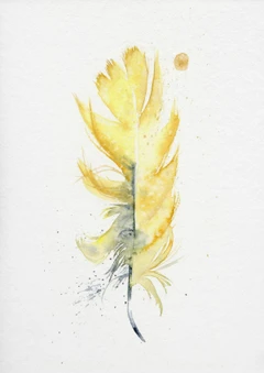 Image of a feather watercolor painting by Shayna Larsen, originals & prints available