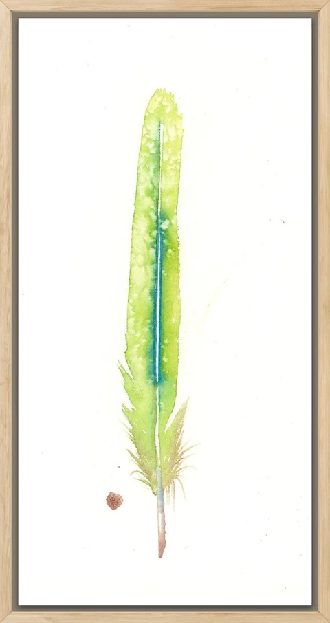 Image of a feather watercolor painting by Shayna Larsen, originals & prints available