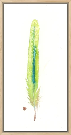 Image of a feather watercolor painting by Shayna Larsen, originals & prints available