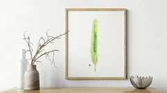 Image of a feather watercolor painting by Shayna Larsen, originals & prints available