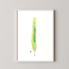 Image of a feather watercolor painting by Shayna Larsen, originals & prints available