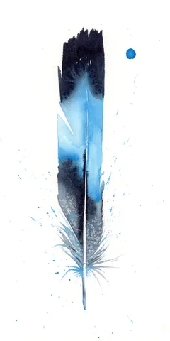 Image of a feather watercolor painting by Shayna Larsen, originals & prints available