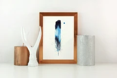 Image of a feather watercolor painting by Shayna Larsen, originals & prints available