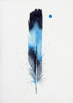 Image of a feather watercolor painting by Shayna Larsen, originals & prints available