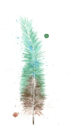 Image of a feather watercolor painting by Shayna Larsen, originals & prints available