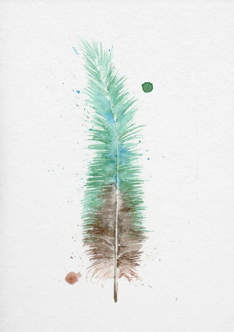 Image of a feather watercolor painting by Shayna Larsen, originals & prints available