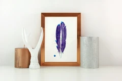 Image of a feather watercolor painting by Shayna Larsen, originals & prints available