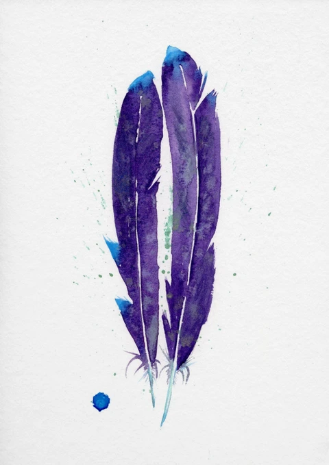 Image of a feather watercolor painting by Shayna Larsen, originals & prints available