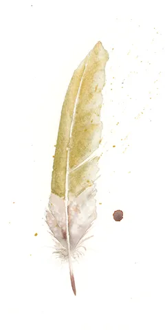 Image of a feather watercolor painting by Shayna Larsen, originals & prints available