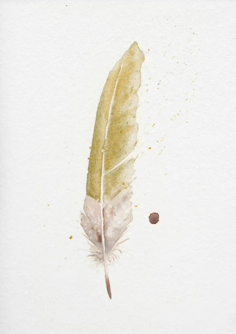 Image of a feather watercolor painting by Shayna Larsen, originals & prints available