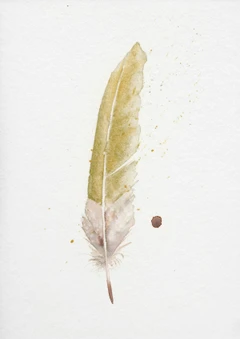 Image of a feather watercolor painting by Shayna Larsen, originals & prints available