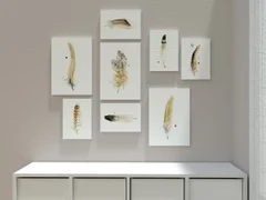 Image of a feather watercolor painting by Shayna Larsen, originals & prints available