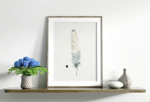 Image of a feather watercolor painting by Shayna Larsen, originals & prints available