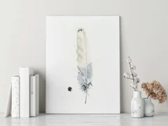 Image of a feather watercolor painting by Shayna Larsen, originals & prints available