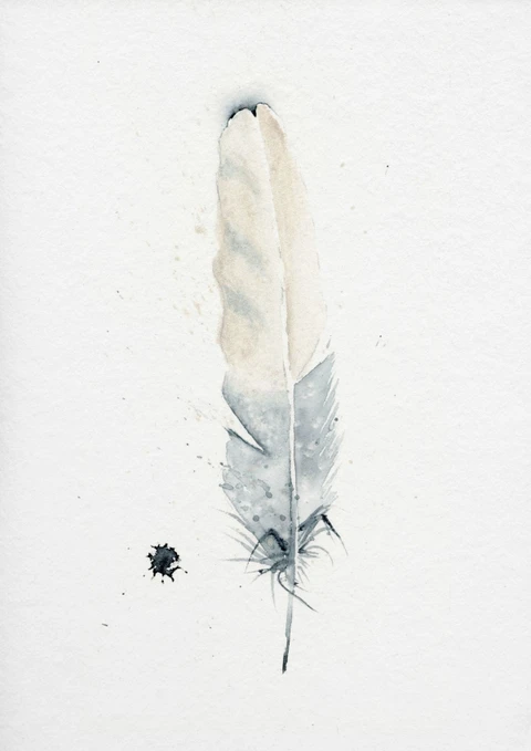 Image of a feather watercolor painting by Shayna Larsen, originals & prints available