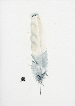 Image of a feather watercolor painting by Shayna Larsen, originals & prints available
