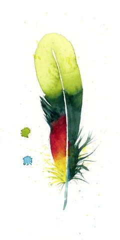 Image of a feather watercolor painting by Shayna Larsen, originals & prints available