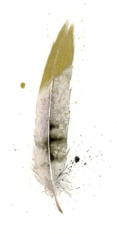 Image of a feather watercolor painting by Shayna Larsen, originals & prints available