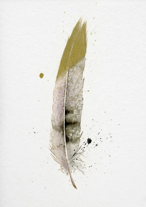 Image of a feather watercolor painting by Shayna Larsen, originals & prints available