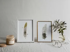 Image of a feather watercolor painting by Shayna Larsen, originals & prints available