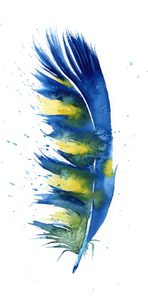 Image of a feather watercolor painting by Shayna Larsen, originals & prints available