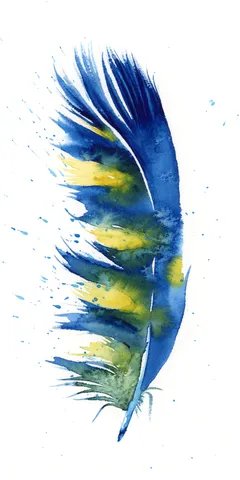 Image of a feather watercolor painting by Shayna Larsen, originals & prints available