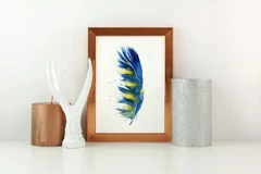 Image of a feather watercolor painting by Shayna Larsen, originals & prints available