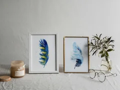 Image of a feather watercolor painting by Shayna Larsen, originals & prints available