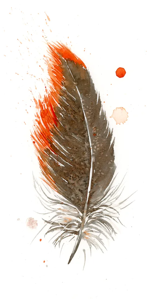 Image of a feather watercolor painting by Shayna Larsen, originals & prints available