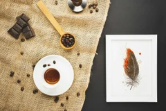 Image of a feather watercolor painting by Shayna Larsen, originals & prints available
