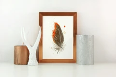 Image of a feather watercolor painting by Shayna Larsen, originals & prints available