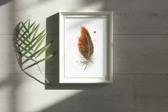 Image of a feather watercolor painting by Shayna Larsen, originals & prints available