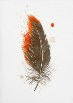 Image of a feather watercolor painting by Shayna Larsen, originals & prints available