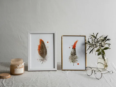 Image of a feather watercolor painting by Shayna Larsen, originals & prints available