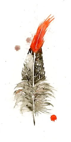 Image of a feather watercolor painting by Shayna Larsen, originals & prints available