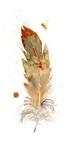 Image of a feather watercolor painting by Shayna Larsen, originals & prints available
