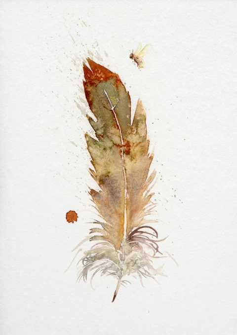 Image of a feather watercolor painting by Shayna Larsen, originals & prints available