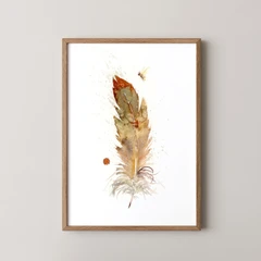 Image of a feather watercolor painting by Shayna Larsen, originals & prints available