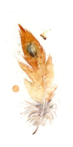 Image of a feather watercolor painting by Shayna Larsen, originals & prints available