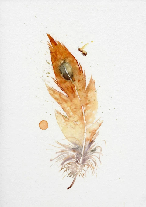Image of a feather watercolor painting by Shayna Larsen, originals & prints available