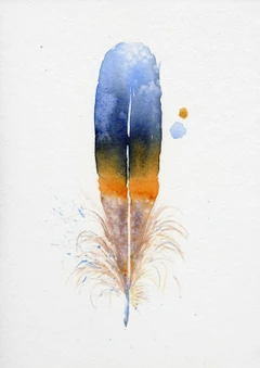 Image of a feather watercolor painting by Shayna Larsen, originals & prints available
