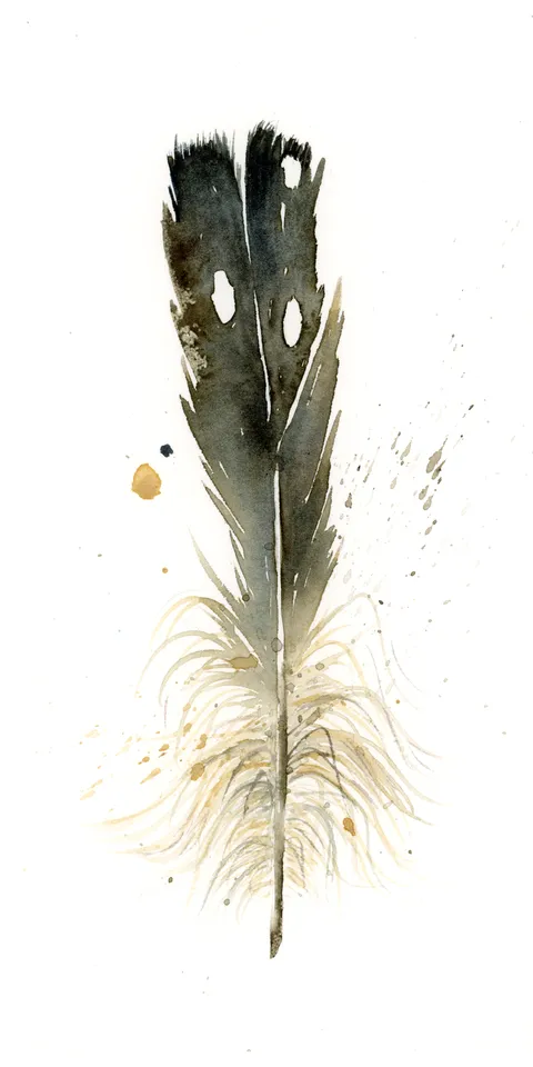 Image of a feather watercolor painting by Shayna Larsen, originals & prints available