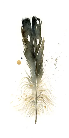 Image of a feather watercolor painting by Shayna Larsen, originals & prints available