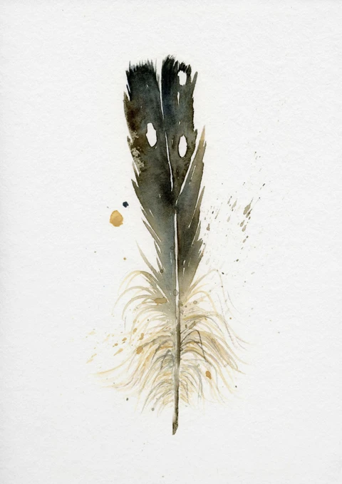 Image of a feather watercolor painting by Shayna Larsen, originals & prints available