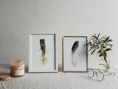 Image of a feather watercolor painting by Shayna Larsen, originals & prints available