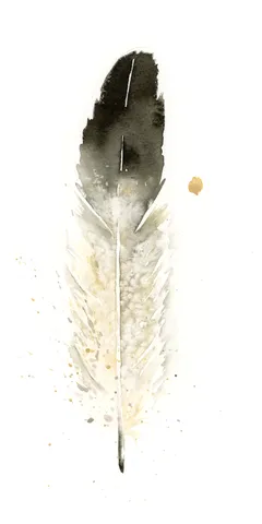 Image of a feather watercolor painting by Shayna Larsen, originals & prints available